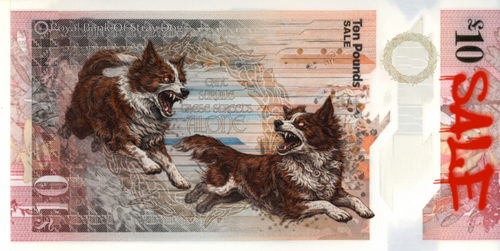 Stray Dogs